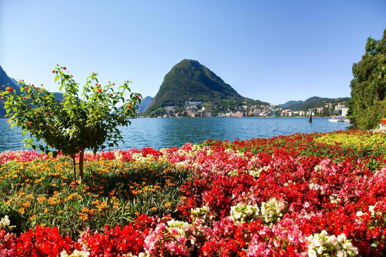 Apartmán Piccola Grecia 8 Lugano Exteriér fotografie